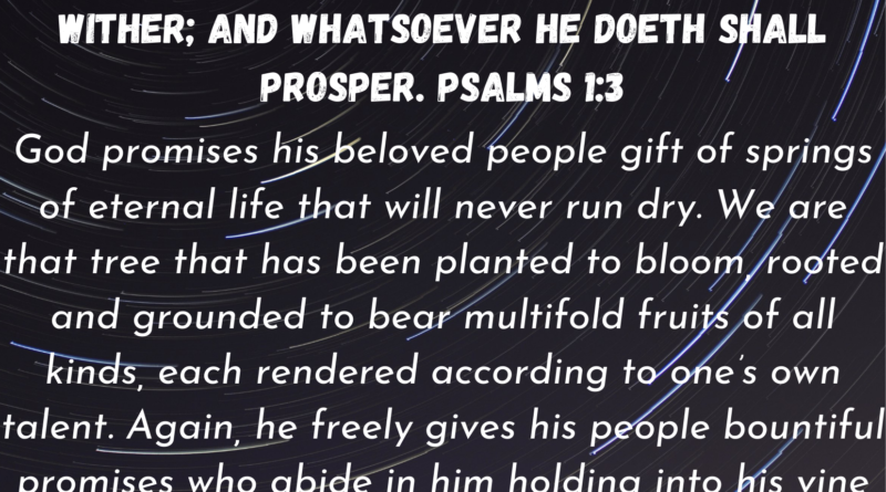 Psalms 1 3